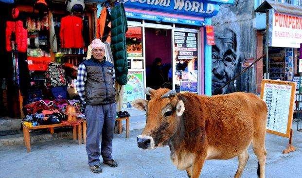 旅游禁忌千万要留意后果很严重m6米乐app9个地方9大
